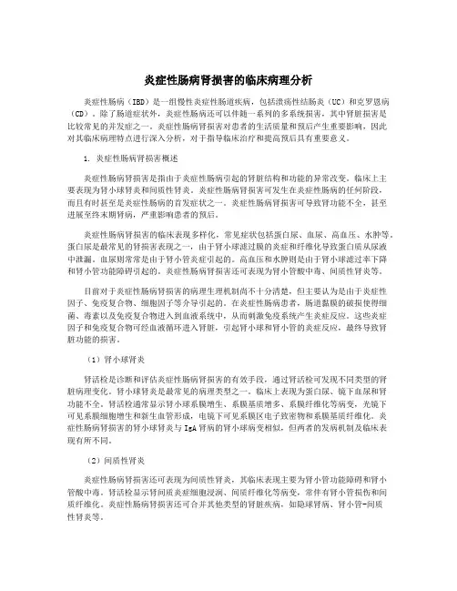 炎症性肠病肾损害的临床病理分析
