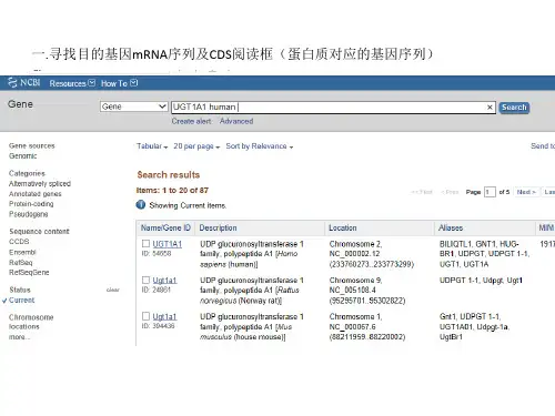 质粒目的基因插入及引物设计流程