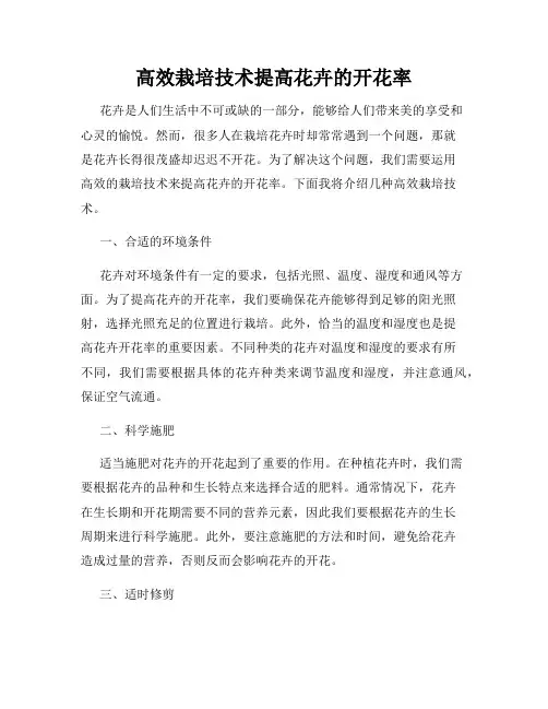 高效栽培技术提高花卉的开花率
