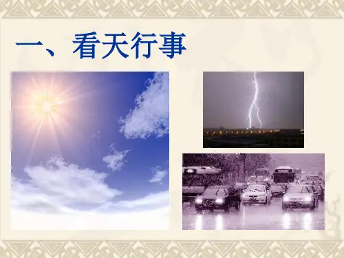 天气预报的内容