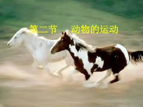 生物课堂用课件