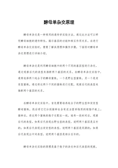 酵母单杂交原理