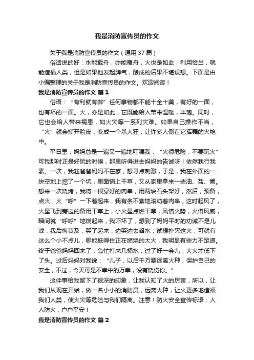 我是消防宣传员的作文