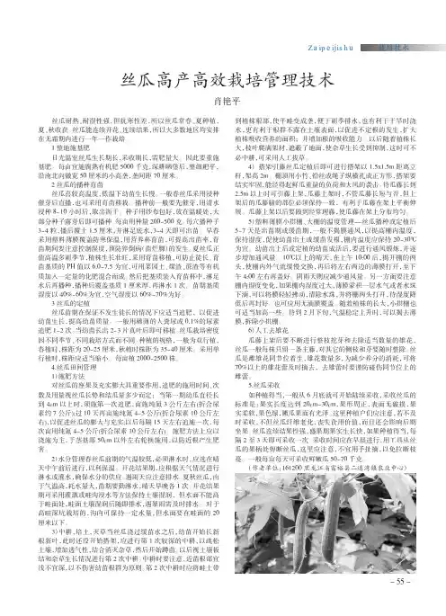 丝瓜高产高效栽培管理技术