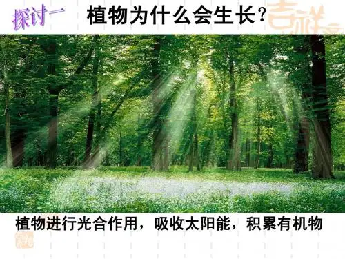 第四节 能量之源-光与光合作用(1)