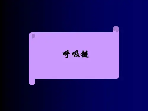 高中生物竞赛第二节_呼吸链