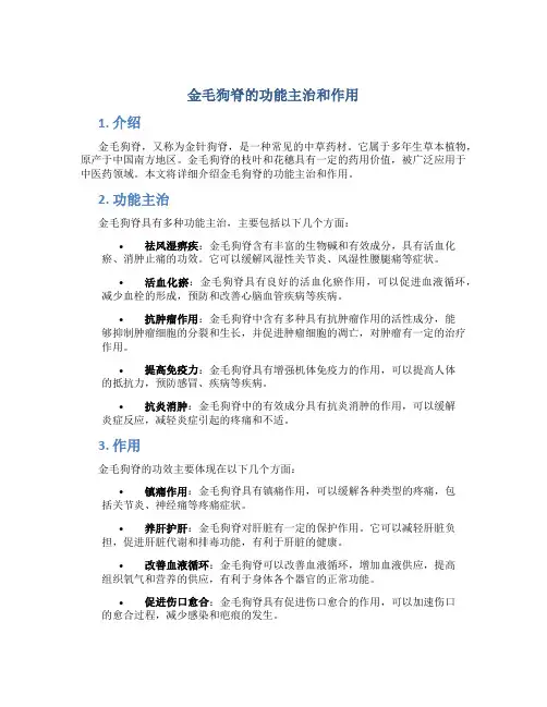 金毛狗脊的功能主治和作用