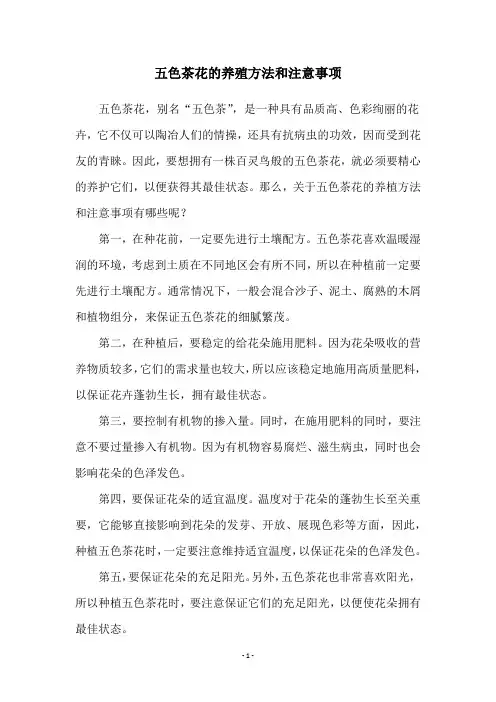 五色茶花的养殖方法和注意事项