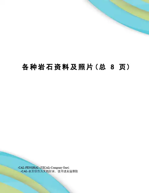 各种岩石资料及照片