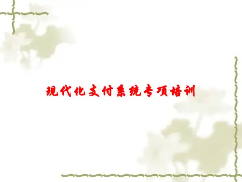 现代化支付系统专项培训课件