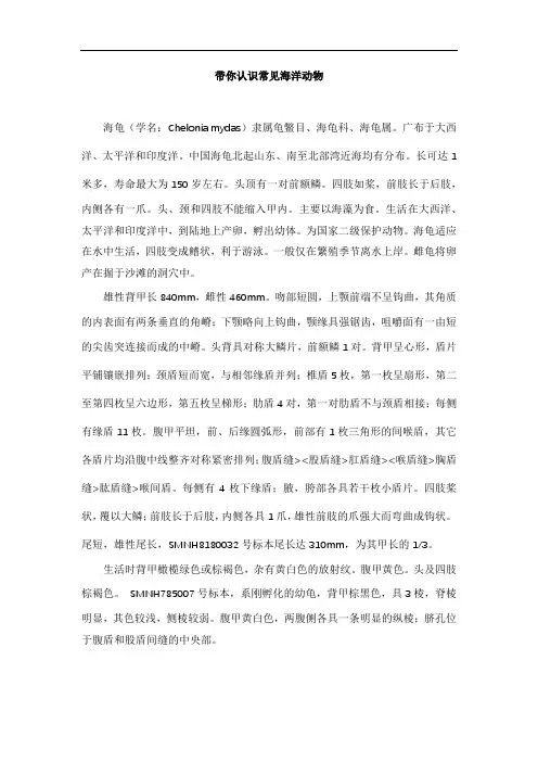 带你认识常见海洋动物