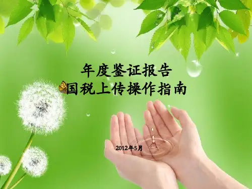广州企业所得税国税网上上传指引PPT课件