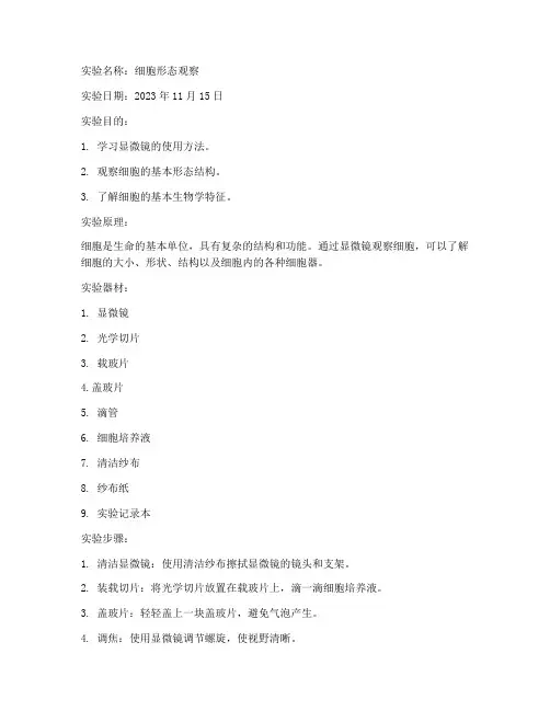医用基础实验报告