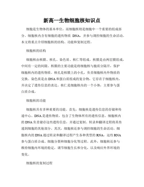 新高一生物细胞核知识点