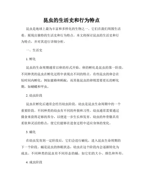昆虫的生活史和行为特点