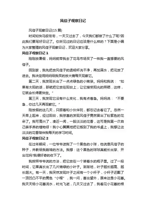 风信子观察日记（15篇）