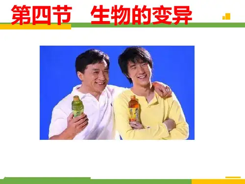 生物的变异八年级生物上册(济南版)