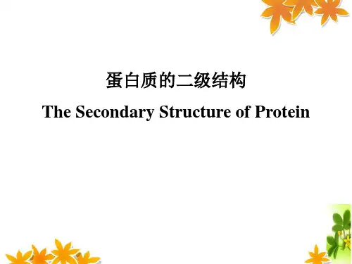 蛋白质的二级结构