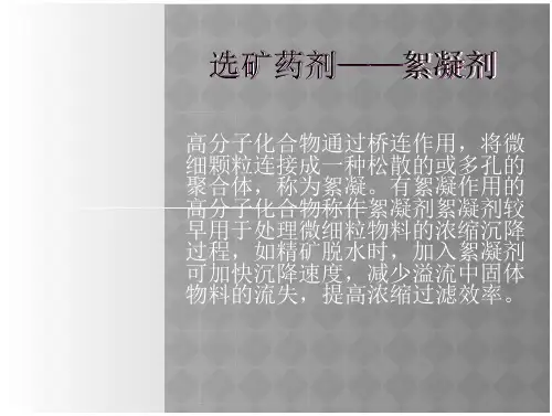 选矿药剂——絮凝剂