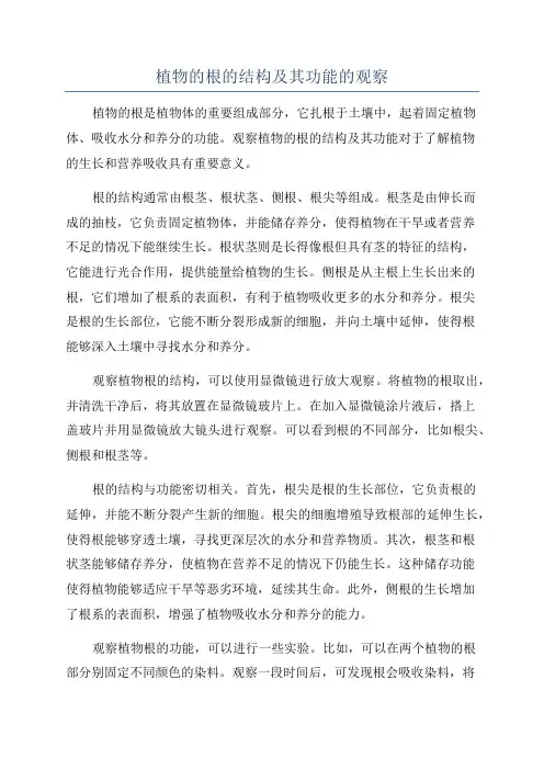 植物的根的结构及其功能的观察