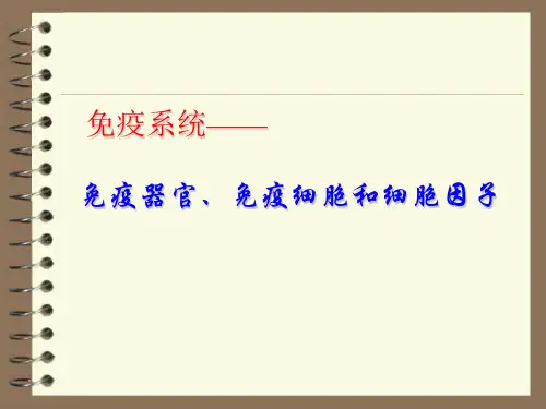 免疫系统——免疫器官、免疫细胞和细胞因子