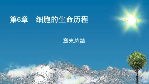 人教版高中生物必修第1册 第6章 细胞的生命历程于章末总结6