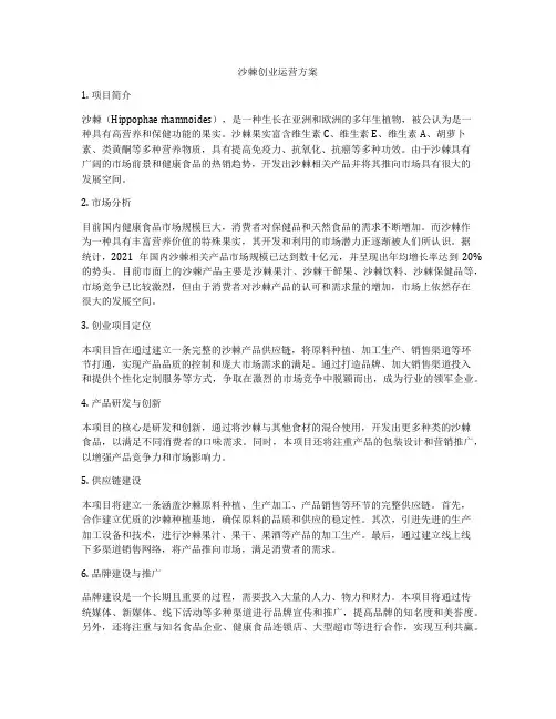 沙棘创业运营方案