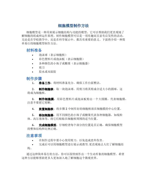 细胞模型制作方法
