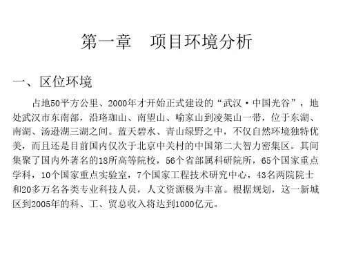 武汉市光谷项目策划分析报告