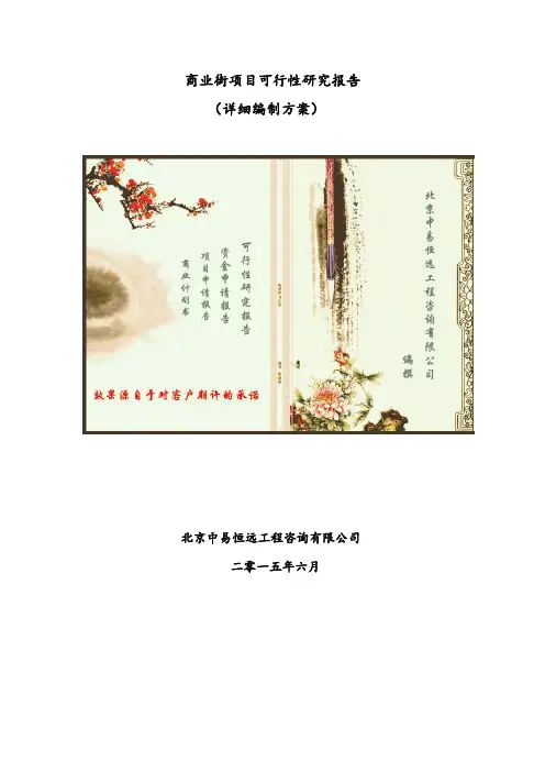 商业街项目可行性研究报告(详细编制方案)