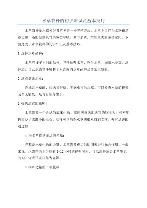 水草栽种的初步知识及基本技巧