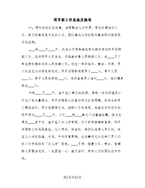 项目部工作总结及规划(8篇)