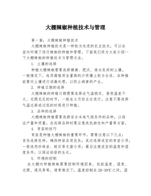 大棚辣椒种植技术与管理