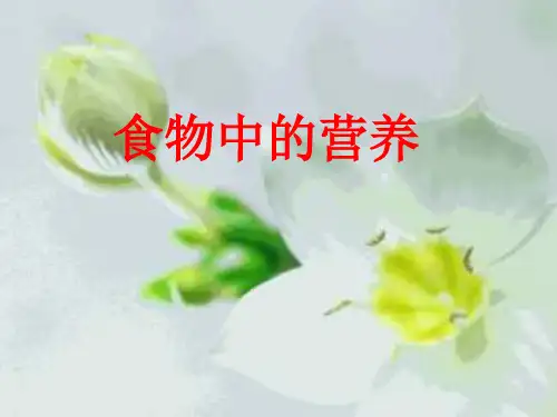 小学科学(教科版)《食物中的营养》全文课件1