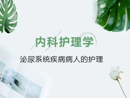 (精品课件)内科护理学——第五章 第一节 泌尿系统疾病病人常见症状体征的护理