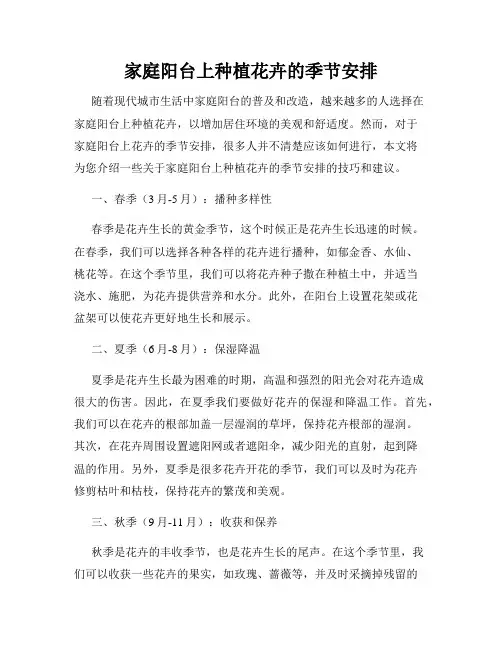 家庭阳台上种植花卉的季节安排