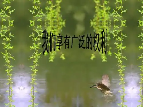 第一课第二框我们享有广泛的权利PPT课件