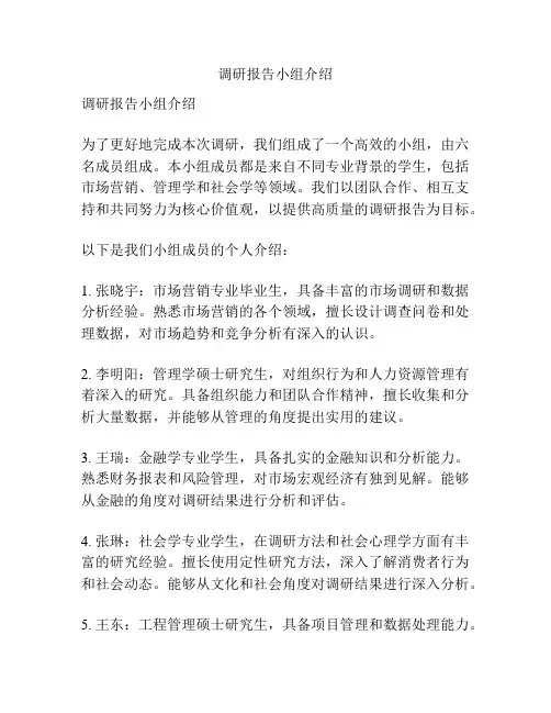 调研报告小组介绍