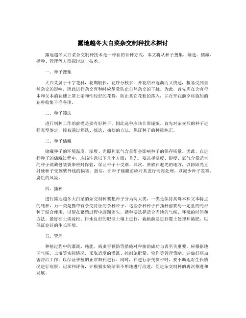 露地越冬大白菜杂交制种技术探讨