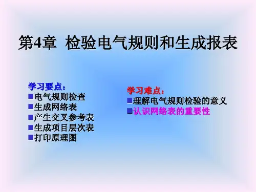 第4章  检验电气规则和生成报表