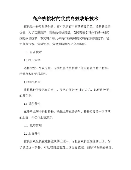 高产核桃树的优质高效栽培技术