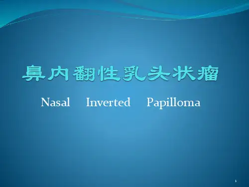 鼻内翻性乳头状瘤医学PPT课件