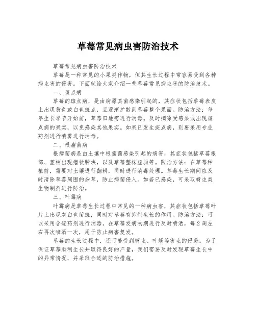 草莓常见病虫害防治技术