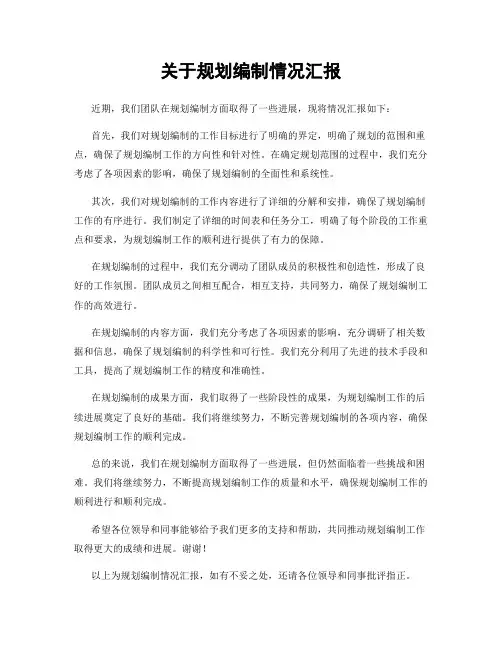 关于规划编制情况汇报