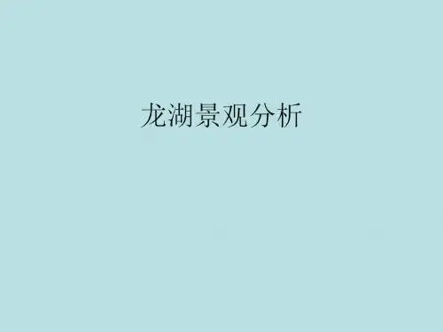 龙湖景观分析、探讨.