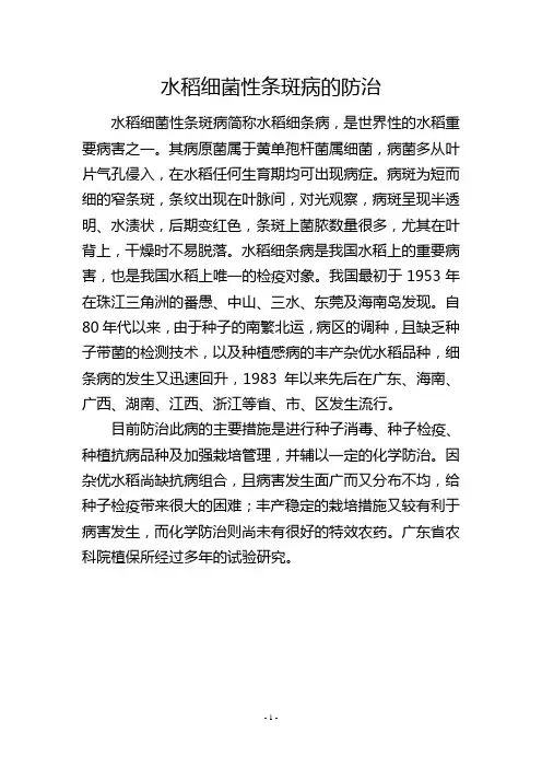 水稻细菌性条斑病的防治