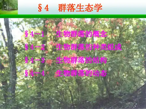 环境生态学第4章主文件