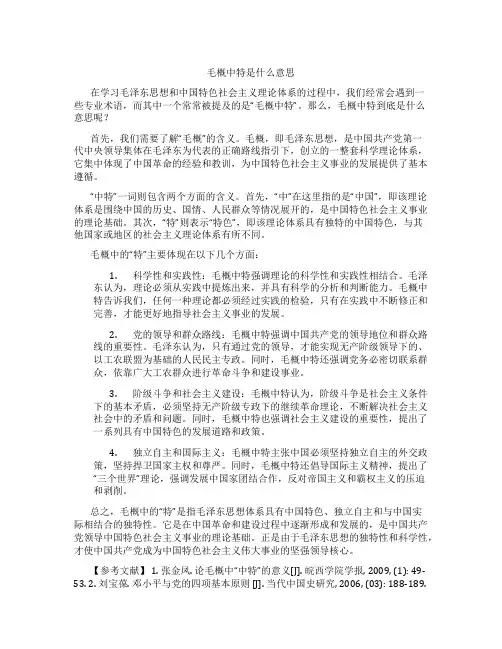 毛概中特是什么意思