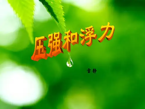 中考物理总复习课件压强和浮力