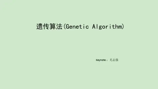 GA遗传算法ppt课件